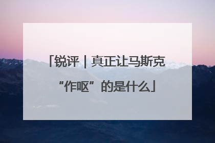 锐评｜真正让马斯克“作呕”的是什么