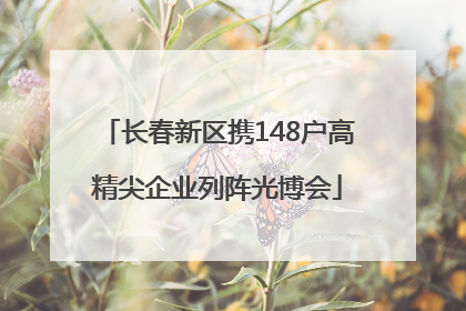 长春新区携148户高精尖企业列阵光博会
