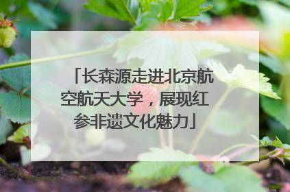 长森源走进北京航空航天大学，展现红参非遗文化魅力