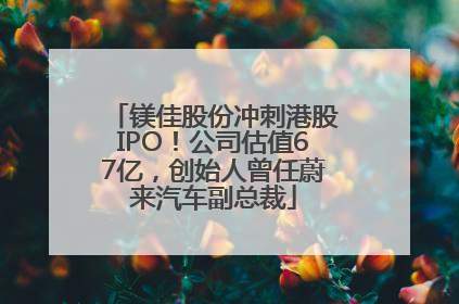 镁佳股份冲刺港股IPO！公司估值67亿，创始人曾任蔚来汽车副总裁