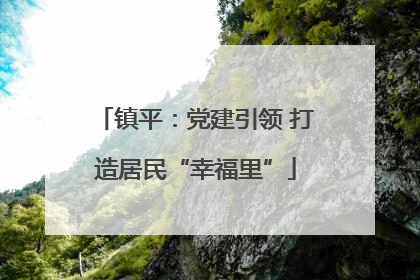 镇平：党建引领 打造居民“幸福里”