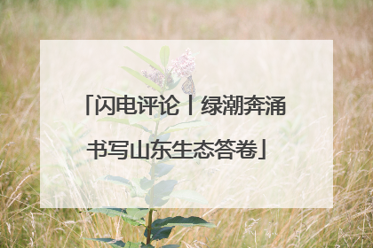 闪电评论丨绿潮奔涌 书写山东生态答卷