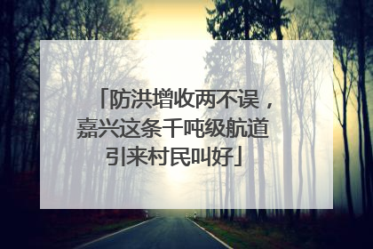 防洪增收两不误，嘉兴这条千吨级航道引来村民叫好