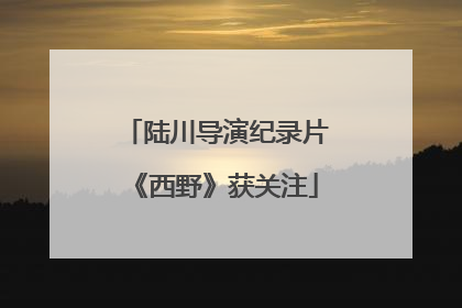 陆川导演纪录片《西野》获关注