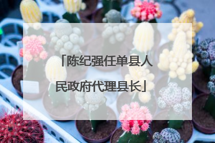 陈纪强任单县人民政府代理县长