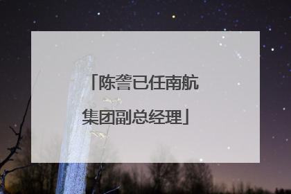 陈詟已任南航集团副总经理