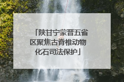 陕甘宁蒙晋五省区聚焦古脊椎动物化石司法保护
