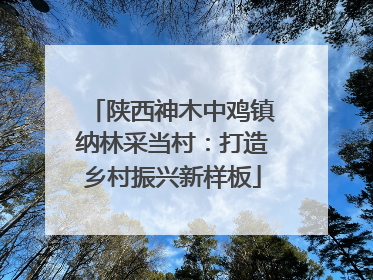 陕西神木中鸡镇纳林采当村：打造乡村振兴新样板