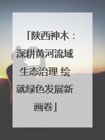 陕西神木：深耕黄河流域生态治理 绘就绿色发展新画卷
