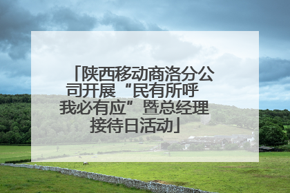 陕西移动商洛分公司开展“民有所呼 我必有应”暨总经理接待日活动