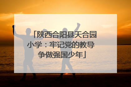 陕西合阳县天合园小学：牢记党的教导 争做强国少年
