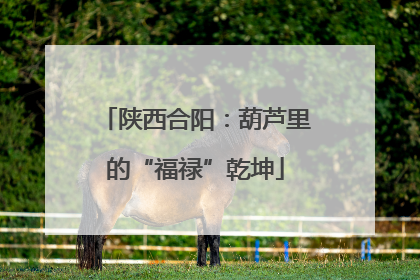 陕西合阳：葫芦里的“福禄”乾坤