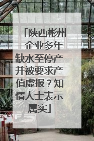 陕西彬州一企业多年缺水至停产并被要求产值虚报？知情人士表示属实