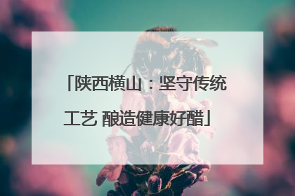 陕西横山：坚守传统工艺 酿造健康好醋