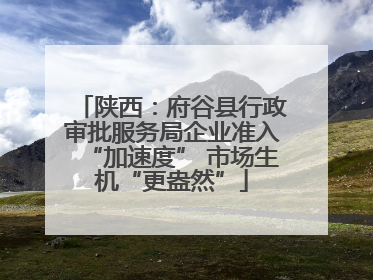 陕西：府谷县行政审批服务局企业准入“加速度” 市场生机“更盎然”