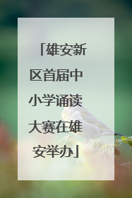 雄安新区首届中小学诵读大赛在雄安举办