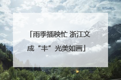 雨季插秧忙 浙江文成“丰”光美如画
