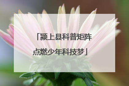 颍上县科普矩阵点燃少年科技梦