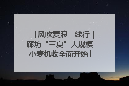 风吹麦浪一线行｜廊坊“三夏”大规模小麦机收全面开始