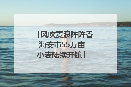 风吹麦浪阵阵香 海安市55万亩小麦陆续开镰