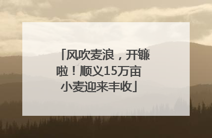 风吹麦浪，开镰啦！顺义15万亩小麦迎来丰收