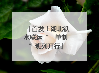 首发！湖北铁水联运“一单制”班列开行