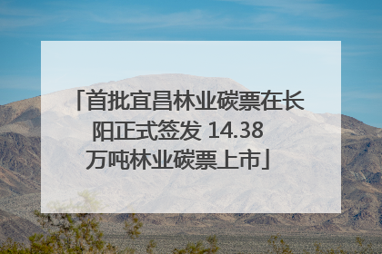 首批宜昌林业碳票在长阳正式签发 14.38万吨林业碳票上市