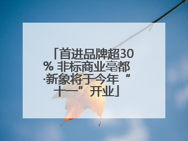 首进品牌超30% 非标商业亳都·新象将于今年“十一”开业