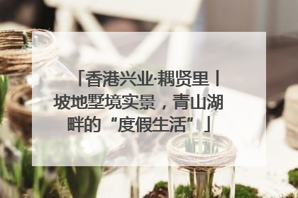 香港兴业·耦贤里丨坡地墅境实景，青山湖畔的“度假生活”