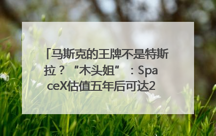 马斯克的王牌不是特斯拉？“木头姐”：SpaceX估值五年后可达2.5万亿美元！