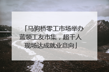 马驹桥零工市场举办蓝领工友市集，超千人现场达成就业意向