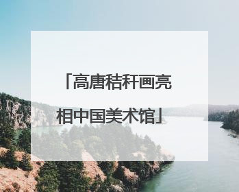 高唐秸秆画亮相中国美术馆