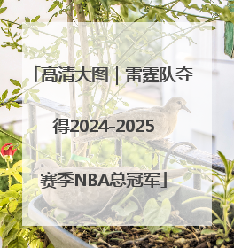 高清大图｜雷霆队夺得2024-2025赛季NBA总冠军