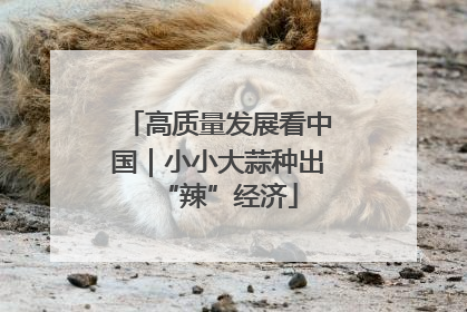 高质量发展看中国｜小小大蒜种出“辣”经济
