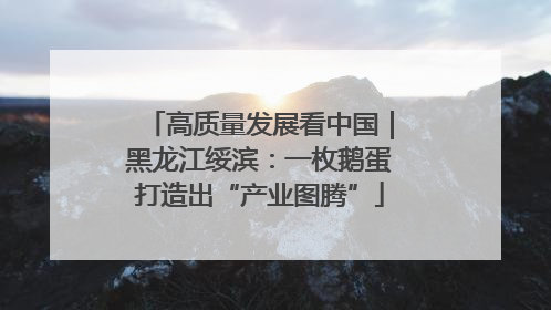 高质量发展看中国｜黑龙江绥滨：一枚鹅蛋打造出“产业图腾”