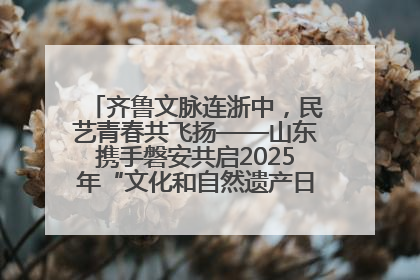 齐鲁文脉连浙中，民艺青春共飞扬——山东携手磐安共启2025年“文化和自然遗产日”系列活动