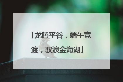 龙腾平谷，端午竞渡，驭浪金海湖