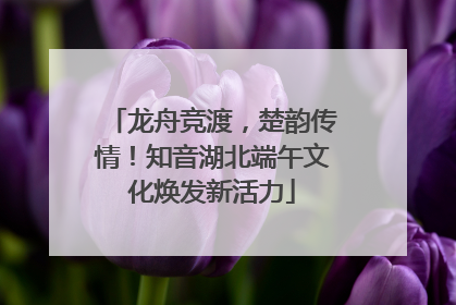 龙舟竞渡，楚韵传情！知音湖北端午文化焕发新活力