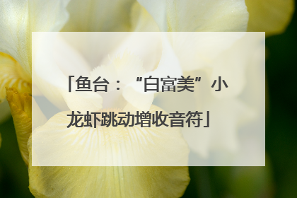 鱼台：“白富美”小龙虾跳动增收音符