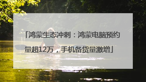 鸿蒙生态冲刺：鸿蒙电脑预约量超12万，手机备货量激增