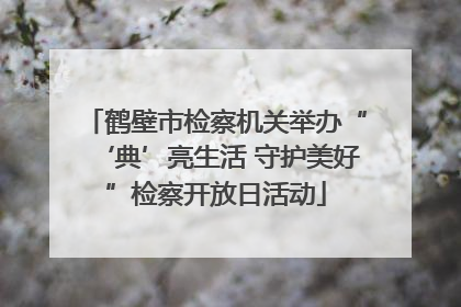 鹤壁市检察机关举办“‘典’亮生活 守护美好”检察开放日活动