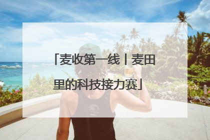 麦收第一线丨麦田里的科技接力赛