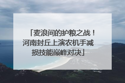 麦浪间的护粮之战！河南封丘上演农机手减损技能巅峰对决
