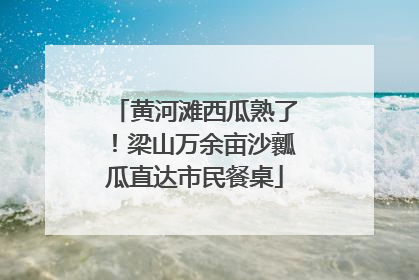 黄河滩西瓜熟了！梁山万余亩沙瓤瓜直达市民餐桌