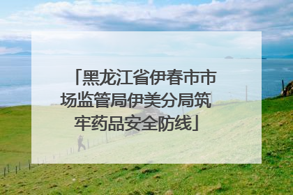 黑龙江省伊春市市场监管局伊美分局筑牢药品安全防线