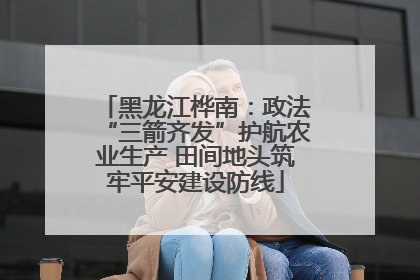 黑龙江桦南：政法“三箭齐发”护航农业生产 田间地头筑牢平安建设防线