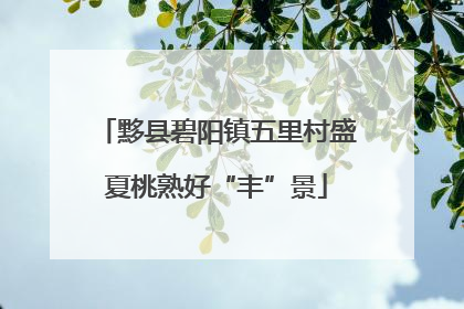 黟县碧阳镇五里村盛夏桃熟好“丰”景