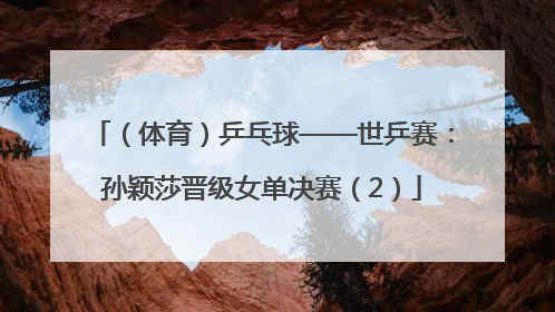 （体育）乒乓球——世乒赛：孙颖莎晋级女单决赛（2）