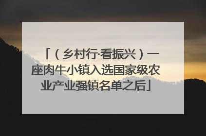 （乡村行·看振兴）一座肉牛小镇入选国家级农业产业强镇名单之后