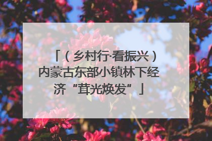 （乡村行·看振兴）内蒙古东部小镇林下经济“茸光焕发”